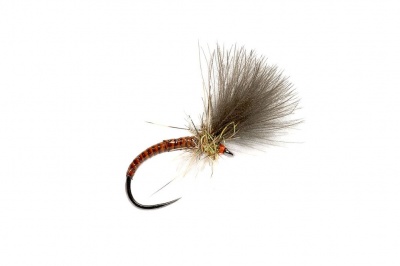 Fulling Mill Quill CDC Emerger Orange Barbless