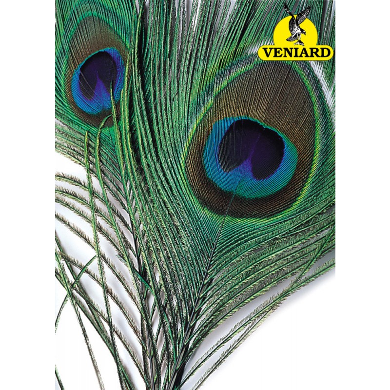 Veniard Peacock Eyes