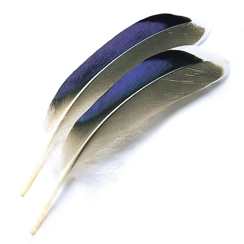 Veniard Mallard blue quills - Natural