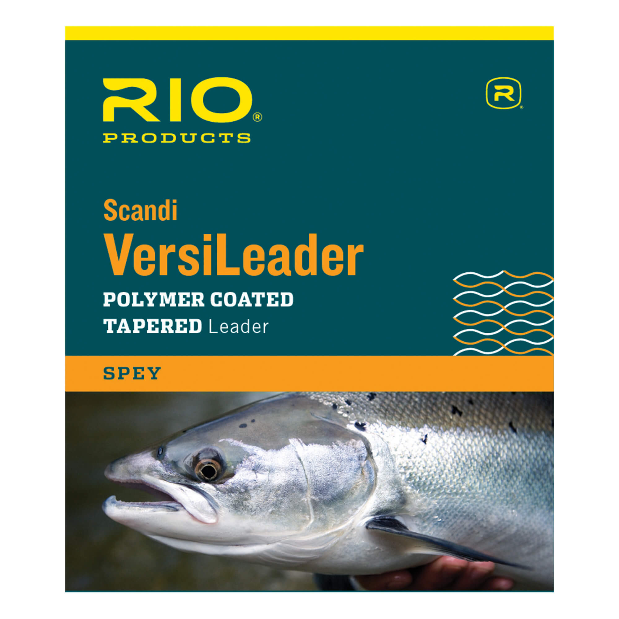 Rio Light Scandi Versileader 10Ft