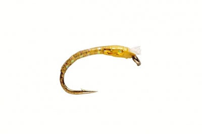 Fulling Mill 3D Glass Buzzer Gold Olive