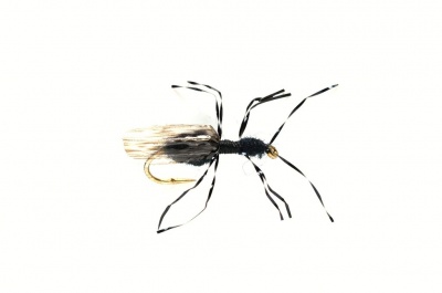 Fulling Mill Black Flying Ant